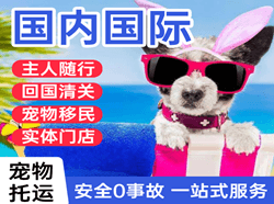 齐齐哈尔机场快递国际宠物托运 【国